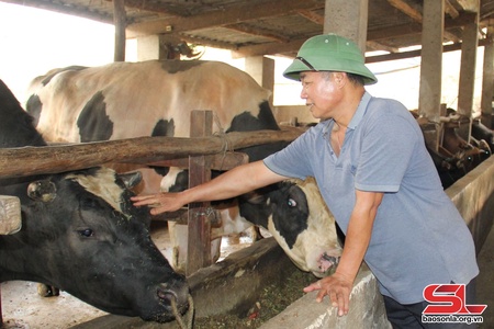 Thi đua lao động giỏi, làm giàu trên quê hương