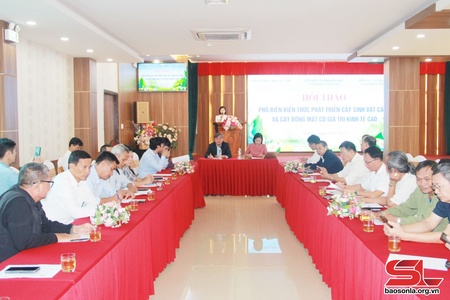 Thúc đẩy sự tiến bộ và sáng tạo