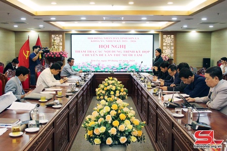Thẩm tra các nội dung trình Kỳ họp chuyên đề HĐND tỉnh