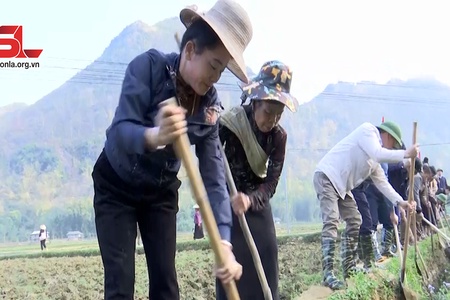 Thuận Châu khai thác hiệu quả công trình thủy lợi