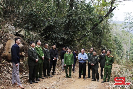 Kiểm tra công tác quản lý, bảo vệ rừng và PCCC rừng tại huyện Yên Châu