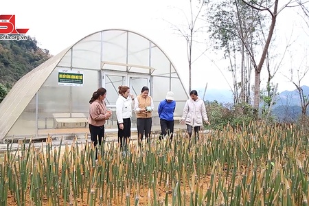 Phát huy hiệu quả nguồn vốn chính sách để giảm nghèo bền vững