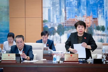 Cho ý kiến về giải trình, tiếp thu, chỉnh lý dự thảo Luật Bảo hiểm xã hội (sửa đổi)