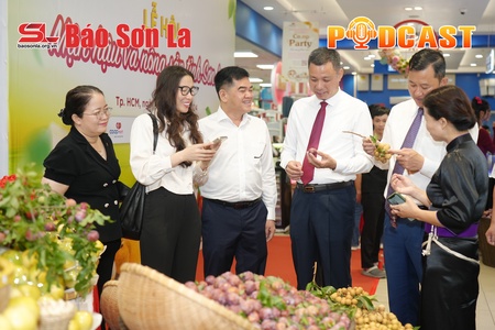 Bản tin Podcast ngày 25/5