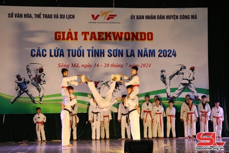 Giải Taekwondo các lứa tuổi tỉnh Sơn La