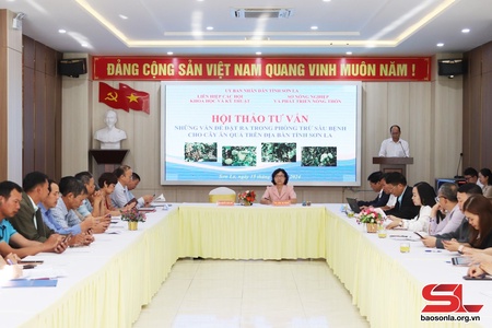 Hội thảo tư vấn về phòng trừ sâu bệnh hại cho cây ăn quả 