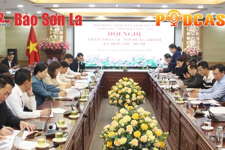 Bản tin Podcast ngày 26/11/2024