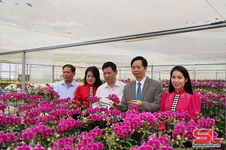 Thực hiện hiệu quả các nhiệm vụ khoa học và công nghệ
