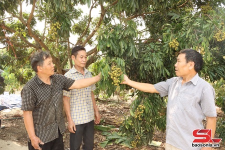 Người có uy tín nêu gương sáng vùng biên giới