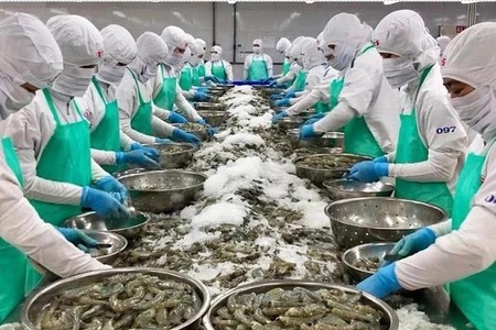 Chuẩn bị sẵn kịch bản và giải pháp trước chính sách thuế quan của Mỹ