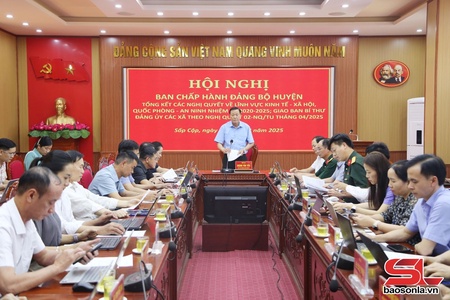 Tổng kết các nghị quyết về kinh tế, xã hội, quốc phòng, an ninh giai đoạn 2020-2025