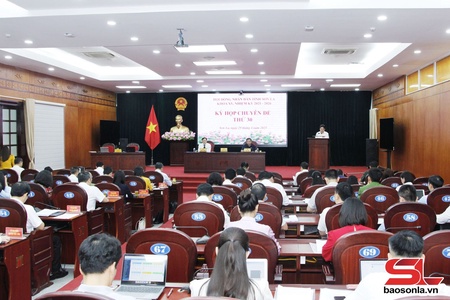 Kỳ họp chuyên đề thứ 30, HĐND tỉnh khóa XV