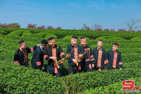 Đồi chè Mộc Châu - điểm đến hấp dẫn du khách