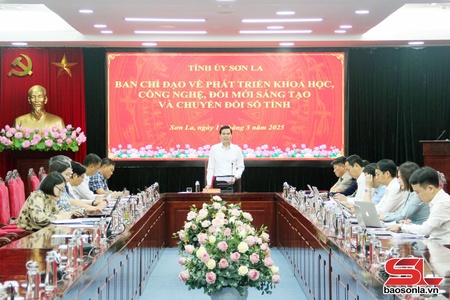 Họp Ban Chỉ đạo về phát triển khoa học, công nghệ, đổi mới sáng tạo và chuyển đổi số tỉnh 