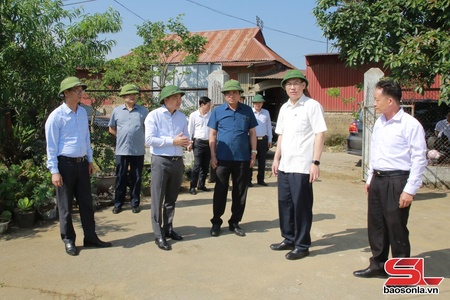 Đồng chí Chủ tịch UBND tỉnh kiểm tra thực địa việc thực hiện Đề án 666 tại thị xã Mộc Châu