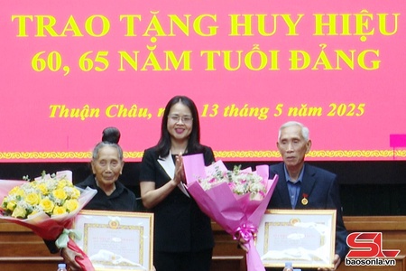 Trao tặng Huy hiệu Đảng đợt 19/5