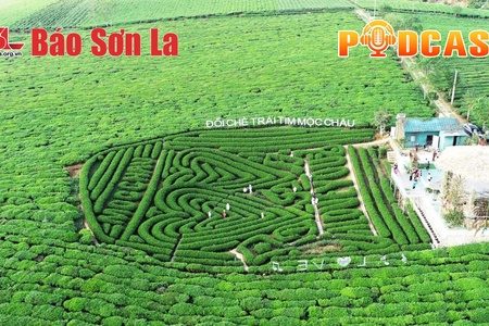 Bản tin Podcast ngày 25/5/2025