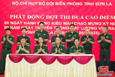 Phát động đợt thi đua cao điểm “80 ngày hành động kiểu mẫu”