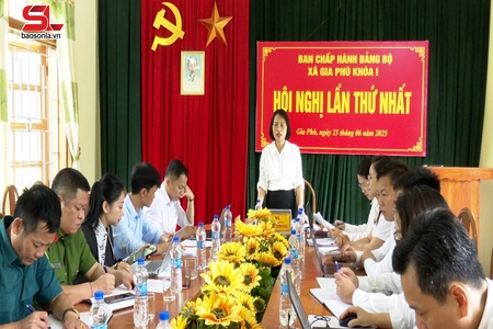 Phù Yên sẵn sàng thực hiện mô hình chính quyền địa phương 2 cấp