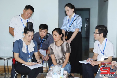 Tổng điều tra nông thôn, nông nghiệp năm 2025