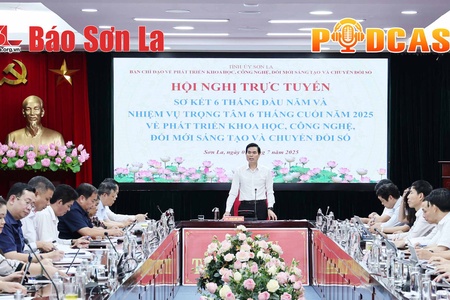 Bản tin Podcast ngày 7/7/2025