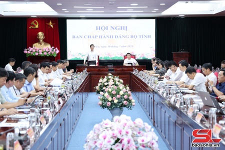 Hội nghị Ban Chấp hành Đảng bộ tỉnh