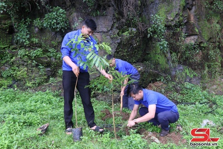Ra quân trồng cây phân tán