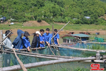 Tuổi trẻ chung tay xây dựng nông thôn mới