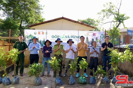 Tiếp tục hành trình “Góp lá vá rừng”
