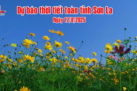 Dự báo thời tiết toàn tỉnh Sơn La ngày 17/8/2025