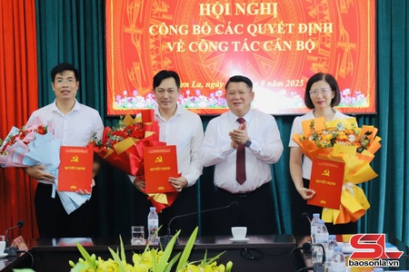 Đảng ủy Các cơ quan Đảng tỉnh công bố các quyết định về công tác cán bộ 