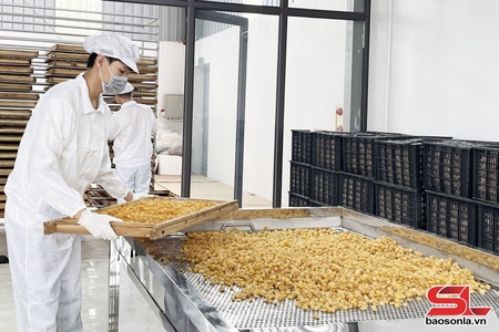 Nâng tầm sản phẩm, hàng hóa bằng chất lượng