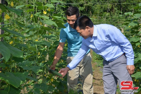 Đồng hành cùng nông dân phát triển kinh tế