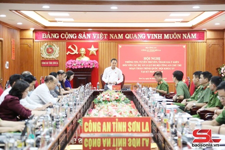 Tham gia ý kiến đối với các dự án Luật do Bộ Công an chủ trì soạn thảo