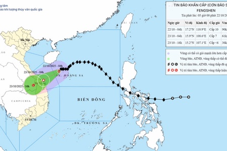 Bão số 12 cách thành phố Đà Nẵng khoảng 310km