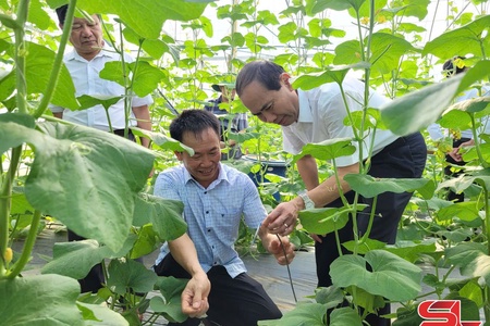 Đồng hành cùng doanh nghiệp phát triển