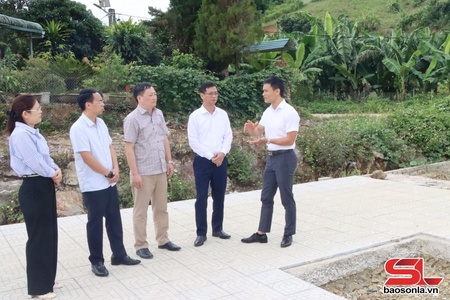 Đồng chí Phó Chủ tịch UBND tỉnh kiểm tra tiến độ triển khai các dự án trên địa bàn xã Mai Sơn và Phiêng Pằn