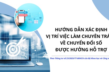 Hướng dẫn xác định vị trí việc làm chuyên trách về chuyển đổi số được hưởng hỗ trợ