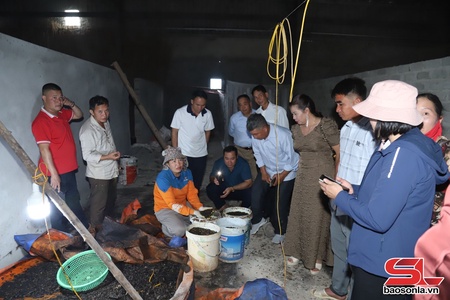 Nông nghiệp tuần hoàn - hướng phát triển bền vững