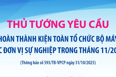 Thủ tướng yêu cầu hoàn thành kiện toàn tổ chức bộ máy các đơn vị sự nghiệp trong tháng 11/2025