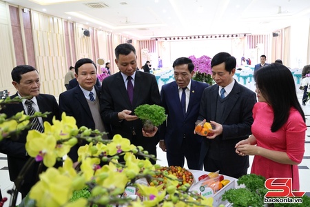 Hiệu quả hoạt động nghiên cứu, ứng dụng khoa học và công nghệ