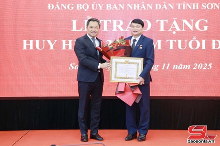 Đảng ủy UBND tỉnh trao tặng Huy hiệu 30 năm tuổi Đảng đợt 7/11