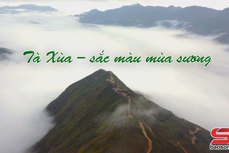 Chương trình "Tà Xùa – Sắc màu mùa sương"