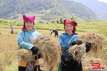 Sắc màu nông nghiệp Ngọc Chiến  