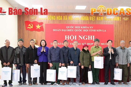 Bản tin Podcast ngày 15/12/2025