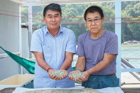 Từ thợ lặn nghèo đến “vua ngọc trai” Phú Quốc