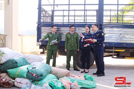  Phát hiện, xử lý hơn 2 tấn nội tạng động vật không rõ nguồn gốc