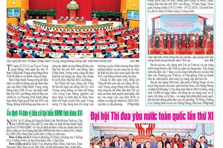 Tin ảnh 31/12/2025