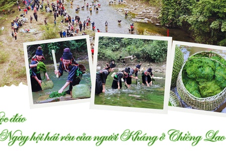 Độc đáo Ngày hội hái rêu của người Kháng ở Chiềng Lao