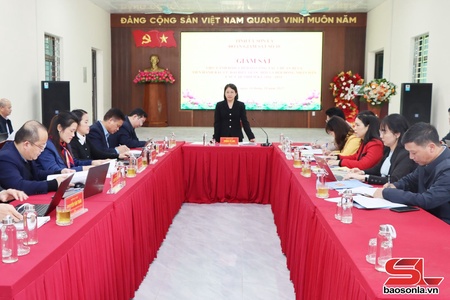 Giám sát việc lãnh đạo, chỉ đạo công tác chuẩn bị và tiến hành bầu cử đại biểu Quốc hội và HĐND các cấp nhiệm kỳ 2026 - 2031